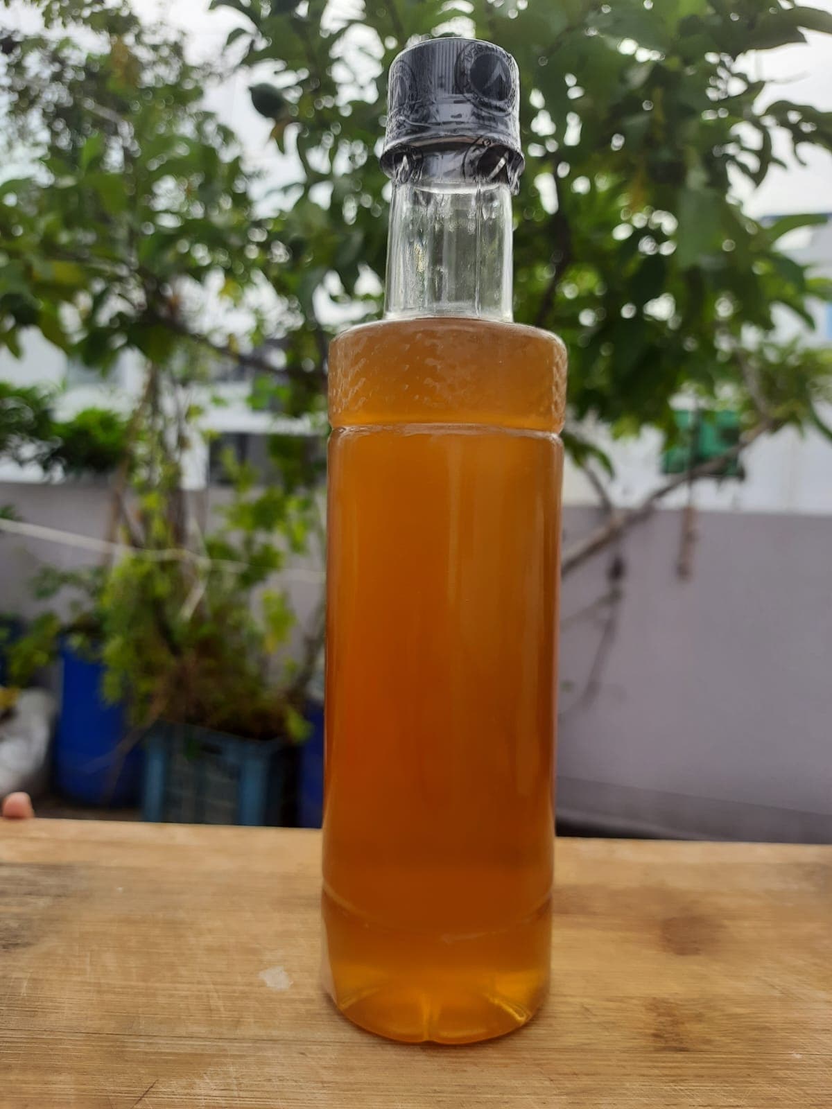 সুন্দরবনের খলিশা ফুলের মধু