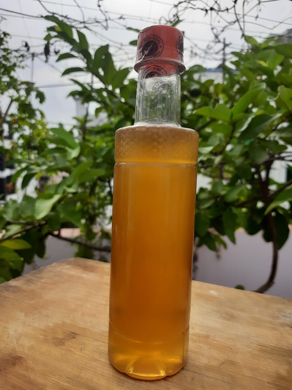 লিচু ফুলের মধু